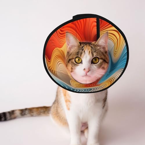 Meander Hundehalsband mit Farbkarte – Schutzhalsband für Hunde und Katzen, bequemes Haustier-Genesungshalsband für große und mittelgroße Welpen Meander Hundehalsband mit Farbkarte – Schutzhalsband für Hunde und Katzen, bequemes Haustier-Genesungshalsband für große und mittelgroße Welpen von YXLymxDAMAI