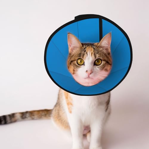 Natürliches blaues Hundehalsband – Schutzhalsband für Hunde und Katzen, bequemes Haustier-Genesungshalsband für große und mittelgroße Welpen Natürliches blaues Hundehalsband – Schutzhalsband für Hunde und Katzen, bequemes Haustier-Genesungshalsband für große und mittelgroße Welpen von YXLymxDAMAI