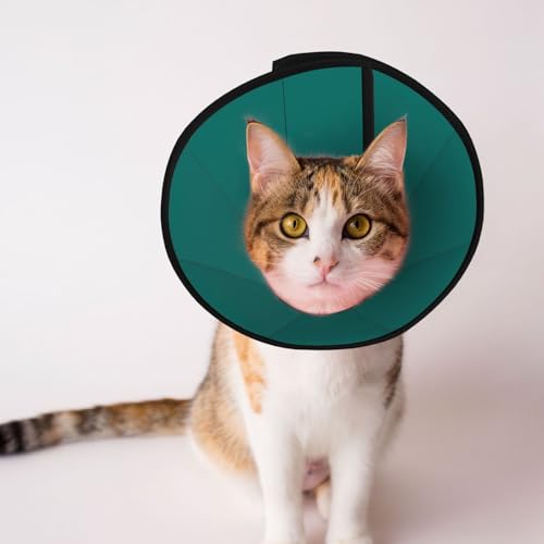 Natürliches grünes Hundekegelhalsband – Schutzhalsband für Hunde und Katzen, bequemes Haustier-Genesungshalsband für große und mittelgroße Welpen von YXLymxDAMAI