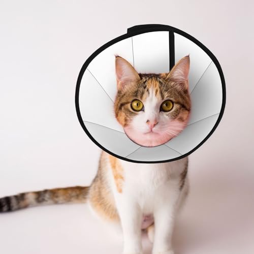 Natürliches weißes Hundehalsband – Schutzhalsband für Hunde und Katzen, bequemes Haustier-Genesungshalsband für große und mittelgroße Welpen Natürliches weißes Hundehalsband – Schutzhalsband für Hunde und Katzen, bequemes Haustier-Genesungshalsband für große und mittelgroße Welpen von YXLymxDAMAI