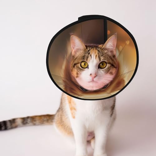 Niedliches kleines Hundekegelhalsband – Schutzhalsband für Hunde und Katzen, bequemes Haustier-Genesungshalsband für große und mittelgroße Welpen Niedliches kleines Hundekegelhalsband – Schutzhalsband für Hunde und Katzen, bequemes Haustier-Genesungshalsband für große und mittelgroße Welpen von YXLymxDAMAI