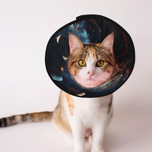 Orbiting Planet Hundehalsband, Schutzhalsband für Hunde und Katzen, bequemes Haustier-Genesungshalsband für große und mittelgroße Welpen Orbiting Planet Hundehalsband, Schutzhalsband für Hunde und Katzen, bequemes Haustier-Genesungshalsband für große und mittelgroße Welpen von YXLymxDAMAI