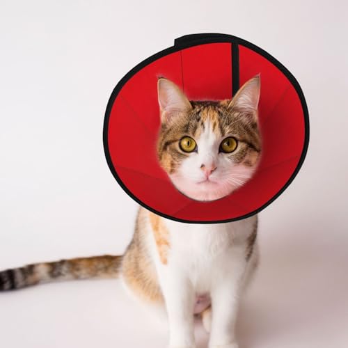 Reines rotes Hundehalsband – Schutzhalsband für Hunde und Katzen, bequemes Haustier-Genesungshalsband für große und mittelgroße Welpen Reines rotes Hundehalsband – Schutzhalsband für Hunde und Katzen, bequemes Haustier-Genesungshalsband für große und mittelgroße Welpen von YXLymxDAMAI