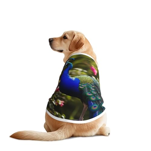Schöne Hundekleidung mit Pfauenmotiv – atmungsaktives, weiches Hundekostüm, modische und bequeme T-Shirts für mittelgroße und große Hunde Schöne Hundekleidung mit Pfauenmotiv – atmungsaktives, weiches Hundekostüm, modische und bequeme T-Shirts für mittelgroße und große Hunde von YXLymxDAMAI