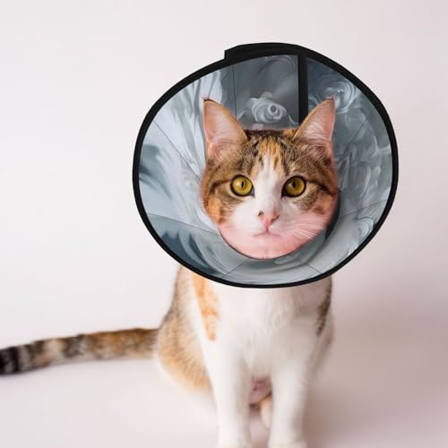 Schönes Hundehalsband mit Schwanenfedern – Schutzhalsband für Hunde und Katzen, bequemes Haustier-Genesungshalsband für große und mittelgroße Welpen Schönes Hundehalsband mit Schwanenfedern – Schutzhalsband für Hunde und Katzen, bequemes Haustier-Genesungshalsband für große und mittelgroße Welpen von YXLymxDAMAI