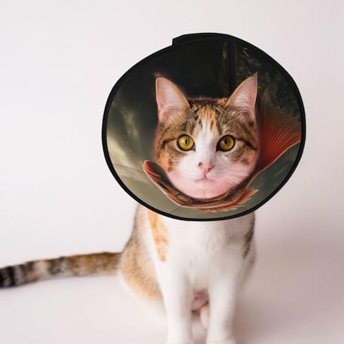 Schönes Koi-Fisch-Hundekegelhalsband – Schutzhalsband für Hunde und Katzen, bequemes Haustier-Genesungshalsband für große und mittelgroße Welpen Schönes Koi-Fisch-Hundekegelhalsband – Schutzhalsband für Hunde und Katzen, bequemes Haustier-Genesungshalsband für große und mittelgroße Welpen von YXLymxDAMAI