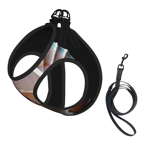 Schönes Muschel-Hundegeschirr, verstellbares Hundegeschirr mit reflektierendem Design, geeignet für Hunde, Katzen, Wandern und Outdoor-Aktivitäten von YXLymxDAMAI