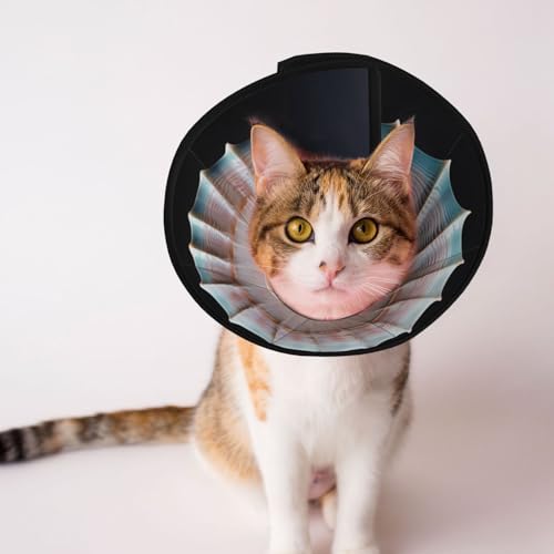 Schönes Muschel-Hundekegelhalsband – Schutzhalsband für Hunde und Katzen, bequemes Haustier-Genesungshalsband für große und mittelgroße Welpen Schönes Muschel-Hundekegelhalsband – Schutzhalsband für Hunde und Katzen, bequemes Haustier-Genesungshalsband für große und mittelgroße Welpen von YXLymxDAMAI
