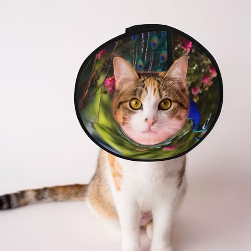 Schönes Pfauen-Hundehalsband – Schutzhalsband für Hunde und Katzen, bequemes Haustier-Genesungshalsband für große und mittelgroße Welpen Schönes Pfauen-Hundehalsband – Schutzhalsband für Hunde und Katzen, bequemes Haustier-Genesungshalsband für große und mittelgroße Welpen von YXLymxDAMAI