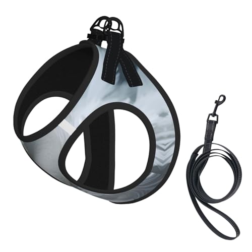 Schönes Schwanenfedern Hundegeschirr - Verstellbares Hundegeschirr mit reflektierendem Design, geeignet für Hunde, Katzen, Wandern, Outdoor-Aktivitäten Schönes Schwanenfedern Hundegeschirr - Verstellbares Hundegeschirr mit reflektierendem Design, geeignet für Hunde, Katzen, Wandern, Outdoor-Aktivitäten von YXLymxDAMAI