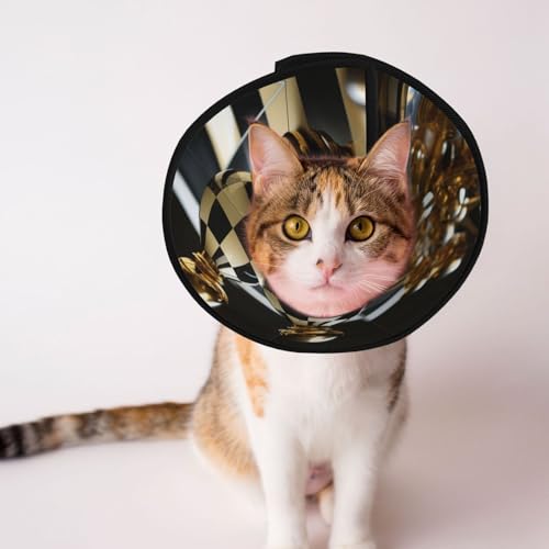 Schwarz-weißes Billard-Hundekegelhalsband – Schutzhalsband für Hunde und Katzen, bequemes Haustier-Genesungshalsband für große und mittelgroße Welpen Schwarz-weißes Billard-Hundekegelhalsband – Schutzhalsband für Hunde und Katzen, bequemes Haustier-Genesungshalsband für große und mittelgroße Welpen von YXLymxDAMAI