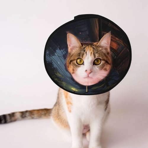 Silent Street Hundekegelhalsband – Schutzhalsband für Hunde und Katzen, bequemes Haustier-Genesungshalsband für große und mittelgroße Welpen Silent Street Hundekegelhalsband – Schutzhalsband für Hunde und Katzen, bequemes Haustier-Genesungshalsband für große und mittelgroße Welpen von YXLymxDAMAI