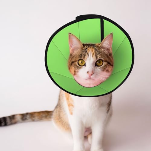 Solides grünes Hundekegelhalsband – Schutzhalsband für Hunde und Katzen, bequemes Haustier-Genesungshalsband für große und mittelgroße Welpen Solides grünes Hundekegelhalsband – Schutzhalsband für Hunde und Katzen, bequemes Haustier-Genesungshalsband für große und mittelgroße Welpen von YXLymxDAMAI