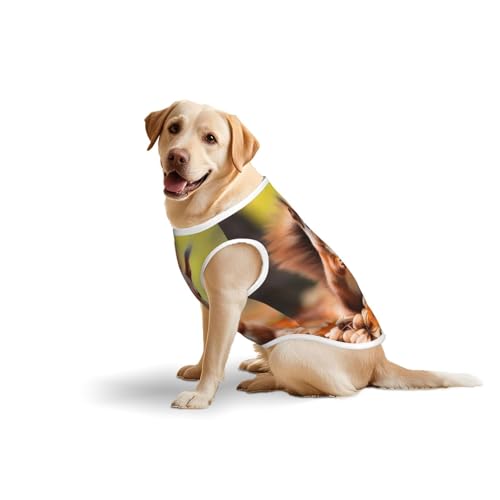 Squiries auf der Suche nach Futter Haustierkleidung für Hunde – weiche Baumwoll-Hundeweste für mittelgroße und große Hunde für den täglichen Gebrauch und Outdoor-Aktivitäten Squiries auf der Suche nach Futter Haustierkleidung für Hunde – weiche Baumwoll-Hundeweste für mittelgroße und große Hunde für den täglichen Gebrauch und Outdoor-Aktivitäten von YXLymxDAMAI