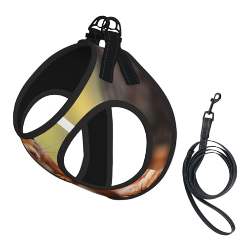Squiries auf der Suche nach Futter Hundegeschirr - Verstellbares Hundegeschirr mit reflektierendem Design, geeignet für Hunde, Katzen, Wandern und Outdoor-Aktivitäten Squiries auf der Suche nach Futter Hundegeschirr - Verstellbares Hundegeschirr mit reflektierendem Design, geeignet für Hunde, Katzen, Wandern und Outdoor-Aktivitäten von YXLymxDAMAI