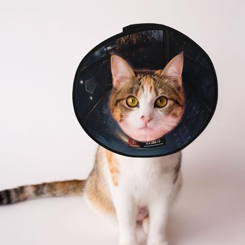 Street Phone Booth Hundehalsband, Schutzkragen für Hunde und Katzen, bequemes Haustier-Genesungshalsband für große und mittelgroße Welpen Street Phone Booth Hundehalsband, Schutzkragen für Hunde und Katzen, bequemes Haustier-Genesungshalsband für große und mittelgroße Welpen von YXLymxDAMAI