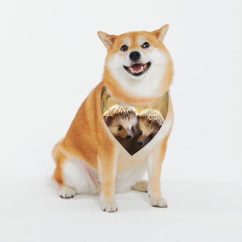 Two Igel Pet Scarf for Dogs - Triangle Drool Scarf Suitable for Small, Medium and Large Dogs, Black, Dog Bandanas von YXLymxDAMAI
