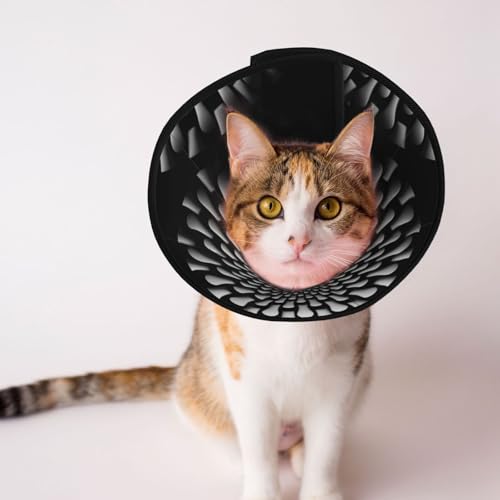 Weißes flaches Hundehalsband mit Nudeln, schützendes Halsband für Hunde und Katzen, bequemes Haustier-Genesungshalsband für große und mittelgroße Welpen Weißes flaches Hundehalsband mit Nudeln, schützendes Halsband für Hunde und Katzen, bequemes Haustier-Genesungshalsband für große und mittelgroße Welpen von YXLymxDAMAI