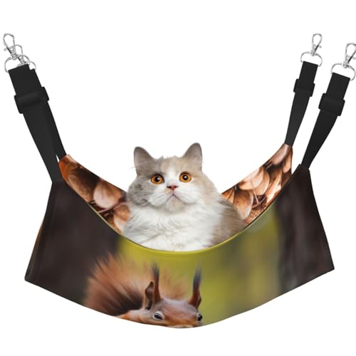 YXLymxDAMAI Squiries Katzenhängemattenbett mit verstellbaren Riemen, geeignet für Katzen, Frettchen, Welpen oder kleine Haustiere YXLymxDAMAI Squiries Katzenhängemattenbett mit verstellbaren Riemen, geeignet für Katzen, Frettchen, Welpen oder kleine Haustiere von YXLymxDAMAI