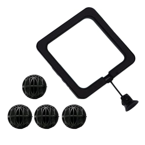 YXQ Schildkröten-Tank-Zubehör, Futterring für Schildkröten, quadratisch, schwarz, quadratisch für Aquarien und 4-teiliges Nitrierkugel-Set, Schwimmer, Fischfutterhalter und Wasserspielzeug für YXQ Schildkröten-Tank-Zubehör, Futterring für Schildkröten, quadratisch, schwarz, quadratisch für Aquarien und 4-teiliges Nitrierkugel-Set, Schwimmer, Fischfutterhalter und Wasserspielzeug für von YXQ