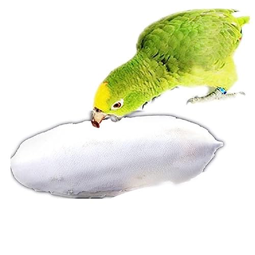 1 Beutel Tintenfisch Knochen Sepia Knochen Tintenfisch Vogelfutter Kalzium Pickstone Pet Supplies Training Papagei Supplies Zähne Vögel Molar food,wild kakadu pädagogisches spielzeug vögel stand blo von YXRRVING