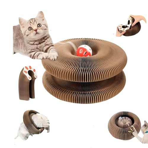 Katzenspielzeug, magisches Akkordeon-Kratzbrett, faltbares Katzen-Akkordeon-Spielzeug mit Glockenbällen und Track-Abenteuer, interaktives Kratzpad, interaktive geistige körperliche Übung (1 Stück) Katzenspielzeug, magisches Akkordeon-Kratzbrett, faltbares Katzen-Akkordeon-Spielzeug mit Glockenbällen und Track-Abenteuer, interaktives Kratzpad, interaktive geistige körperliche Übung (1 Stück) von YXthognyx