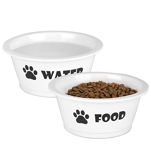 FOREYY Set mit 2 Keramik-Schüsseln für Hunde und Katzen, für Futter und Wasser, mit rutschfestem Band, spülmaschinenfest und mikrowellengeeignet (mittel) von YY FOREYY