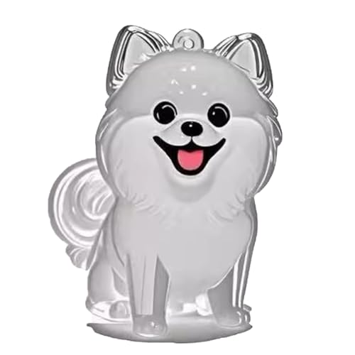 YYDSWTW Anhänger Hundehaarschlüsselkettenfell transparentes Behälter tragbarer 1 Pack Hanging Charme für Besitzer Tiergedämmerung Souvenir B von YYDSWTW