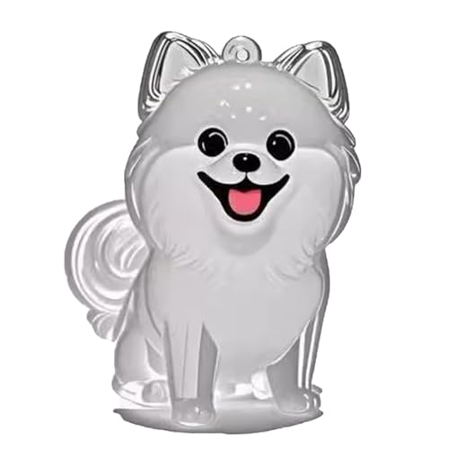 YYDSWTW Anhänger Pet Memorial Storage Box Hunde Haare Haarton 1 Pack tragbarer Form transparenter Behälter für Besitzer, die Hängen hängen B von YYDSWTW