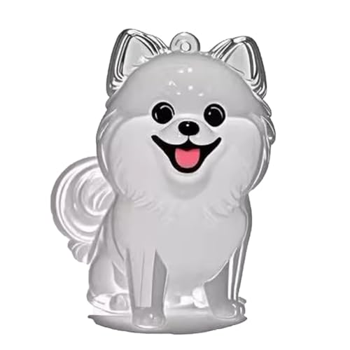 YYDSWTW Hundehaarschlüsselhain Pet Memorial Storage Box Transparent Container 1 Pack tragbarer Hangcharm für Besitzer Souvenir B von YYDSWTW