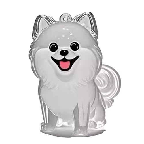 YYDSWTW Hundehaarschlüsselkäse Souvenir Keyring Pet Memorial Storage Box 1 Pack tragbarer Form transparenter Behälter für Besitzer, die Charme hängen B von YYDSWTW