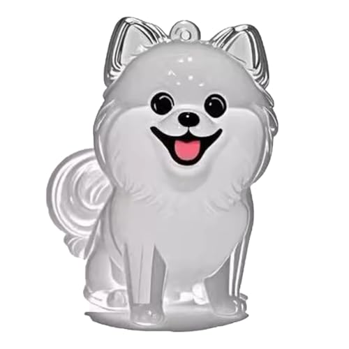 YYDSWTW Hundehaarschlüsselketten -Souvenir -Schlüsselring Anhänger Pet Memorial Storage Box Transparent Container Tragbarer Hangcharm B von YYDSWTW