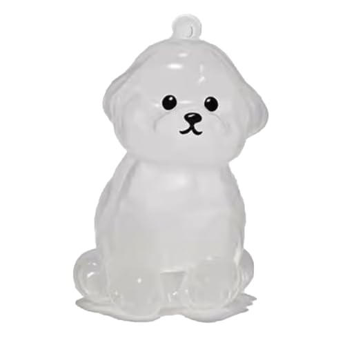YYDSWTW Hundehaarschlüsselketten -Souvenir -Schlüsselring Anhänger Pet Memorial Storage Box Transparent Container Tragbarer Hangcharm D von YYDSWTW