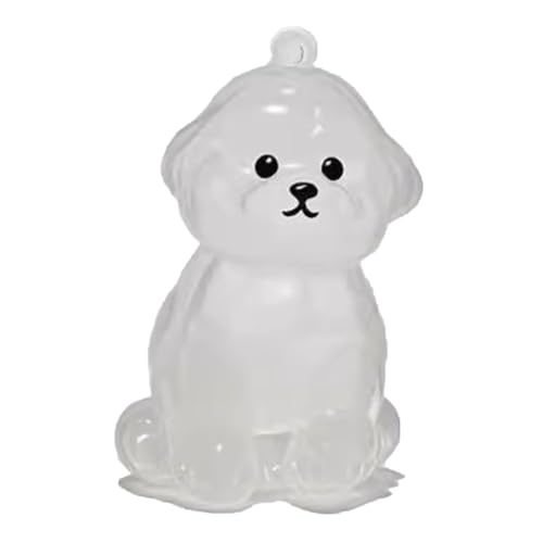 YYDSWTW Hundehaarschlüsselkettenanhänger Pelz Pelz transparenter Behälter Hanging Charm Pet Memorial Storage Box 1 Pack für Besitzer D von YYDSWTW