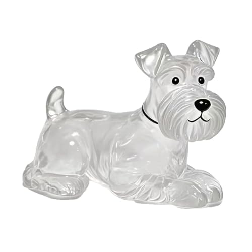 YYDSWTW Hundehaarschlüsselkettenanhänger Pelz Pelz transparenter Behälter Hanging Charm Pet Memorial Storage Box 1 Pack für Besitzer F von YYDSWTW