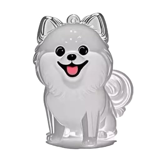 YYDSWTW Hundehaarschlüsselkettenanhänger Pelz Pelz transparentes Behälter 1 Pack tragbare Hangcharmform für Eigentümer Pet Memorial B von YYDSWTW