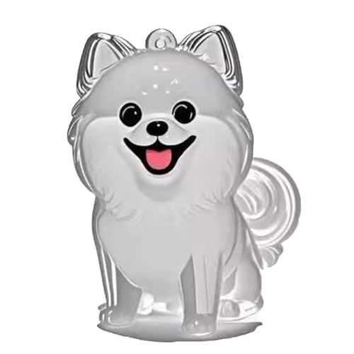 YYDSWTW Hundehaarschlüsselkettenanhänger transparenter Behälter 1 Pack tragbares Hangch Charme Form für Eigentümer Pet Memorial Fell B von YYDSWTW