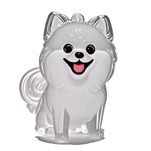 YYDSWTW Hundehaarschlüsselkettenfell transparentes Behälter Souvenir Keyring 1 Pack tragbare Form für Besitzer, die Charm Pet Memorial hängen B von YYDSWTW