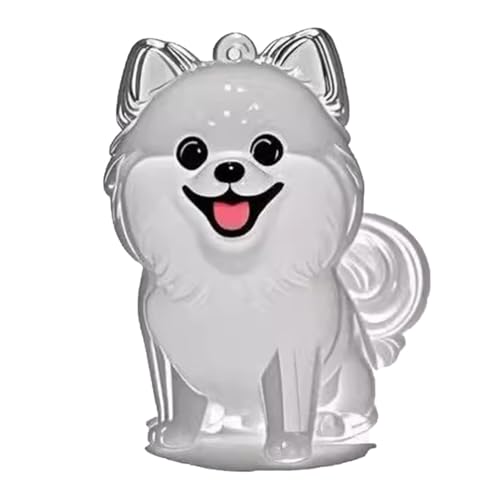 YYDSWTW Pet Memorial Storage Box 1 Pack Fell transparentes Behälter Hund Haarschlüsselkettenanhänger für den Besitzer Souvenir Schlüsselring B von YYDSWTW