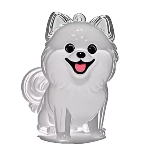 YYDSWTW Pet Memorial Storage Box Anhänger Hunde Haarschlüsselkettenfell transparente Behälter tragbare Form für Besitzer, die den Charme hängen B von YYDSWTW