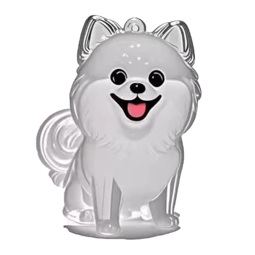 YYDSWTW Pet Memorial Storage Box Hanging Charm Hunde Haar Schlüsselbund Fell transparentes Behälter tragbarer Souvenirschlüsselung für Eigentümer B von YYDSWTW