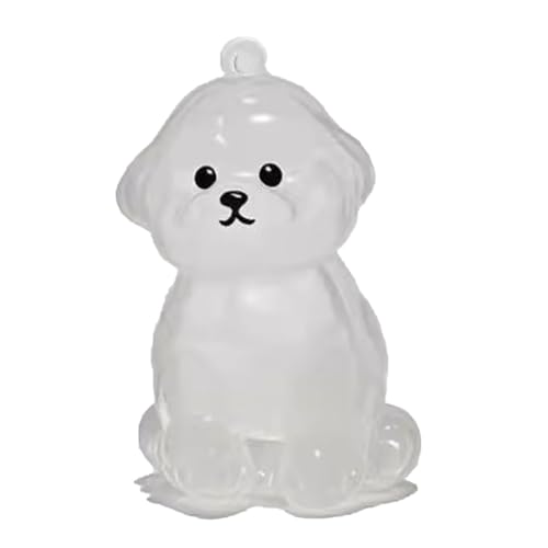 YYDSWTW Pet Memorial Storage Box Hunde Haarschlüsselketten -Souvenir -Schlüsselrichter tragbarer 1 Pack transparenter Behälter für Besitzer, die Charmeform hängen D von YYDSWTW