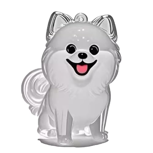 YYDSWTW Pet Memorial Storage Box Hunde Haarschlüsselketten transparenter Behälter tragbares Hangchcharme 1 Pack Form für Besitzer Souvenir B von YYDSWTW