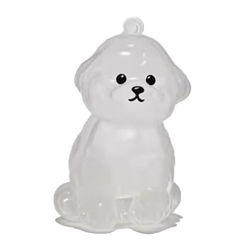 YYDSWTW Pet Memorial Storage Box Hunde Haarschlüsselketten transparenter Behälter tragbares Hangchcharme 1 Pack Form für Besitzer Souvenir D von YYDSWTW
