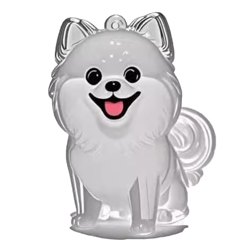 YYDSWTW Pet Memorial Storage Box Souvenir Keyring Hunde Haarschlüsselkettenfell Transparent Container 1 Pack Hanging Charm B von YYDSWTW