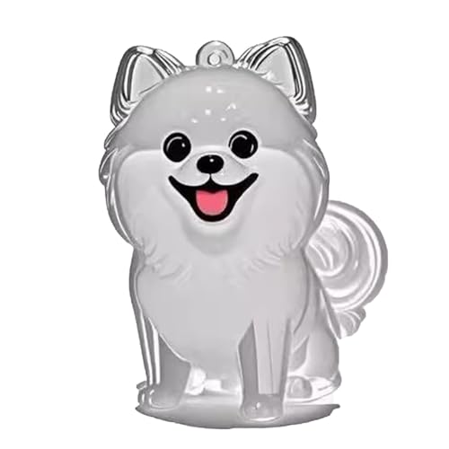 YYDSWTW Souvenir Keyring Pet Memorial Storage Box Anhänger 1 Pack tragbarer transparenter Behälter für Besitzer, die Charm Hunde Haar hängen B von YYDSWTW