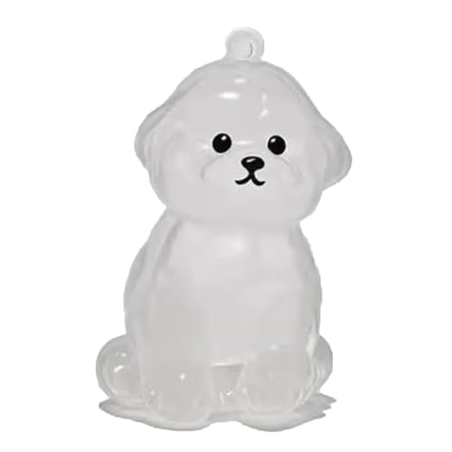 YYDSWTW Souvenir Keyring Pet Memorial Storage Box Transparent Container 1 Pack tragbare Form für Eigentümer, die Charm Hunde Haar hängen D von YYDSWTW
