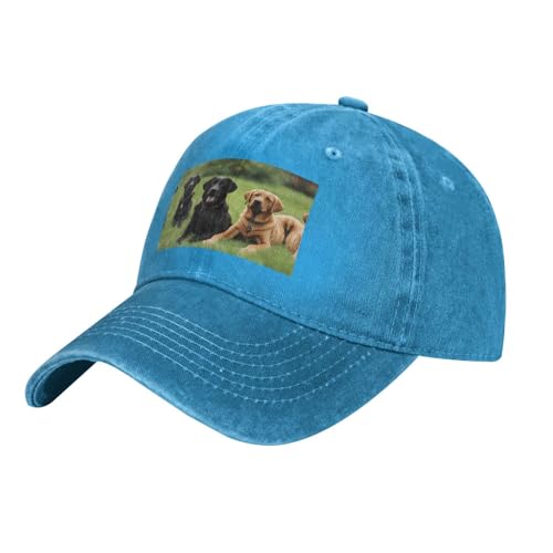 YYHWHJDE Schwarzer Labrador Retriever-Hut für Erwachsene, klassischer Denim-Hut, bequem, leicht, Unisex, geeignet für Outdoor-Sport, Reisen, Blau, Einheitsgröße YYHWHJDE Schwarzer Labrador Retriever-Hut für Erwachsene, klassischer Denim-Hut, bequem, leicht, Unisex, geeignet für Outdoor-Sport, Reisen, Blau, Einheitsgröße von YYHWHJDE