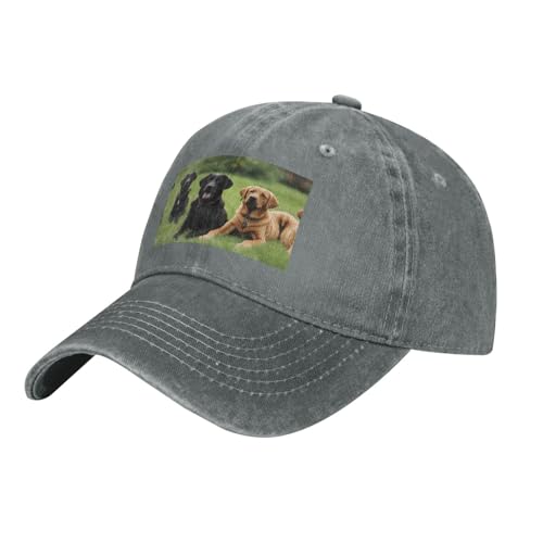 YYHWHJDE Schwarzer Labrador Retriever-Hut für Erwachsene, klassischer Denim-Hut, bequem, leicht, Unisex, geeignet für Outdoor-Sport, Reisen, Grau, Einheitsgröße von YYHWHJDE