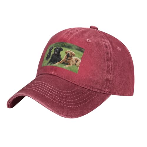 YYHWHJDE Schwarzer Labrador Retriever-Hut für Erwachsene, klassischer Denim-Hut, bequem, leicht, Unisex, geeignet für Outdoor-Sport, Reisen, Rot/Ausflug, einfarbig (Getaway Solids), Einheitsgröße von YYHWHJDE